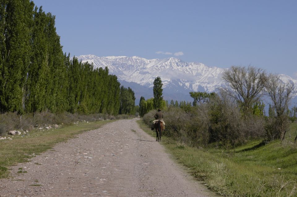 From Mendoza: A Trip Across the Mountain to Atuel Canyon - Inclusions and Amenities