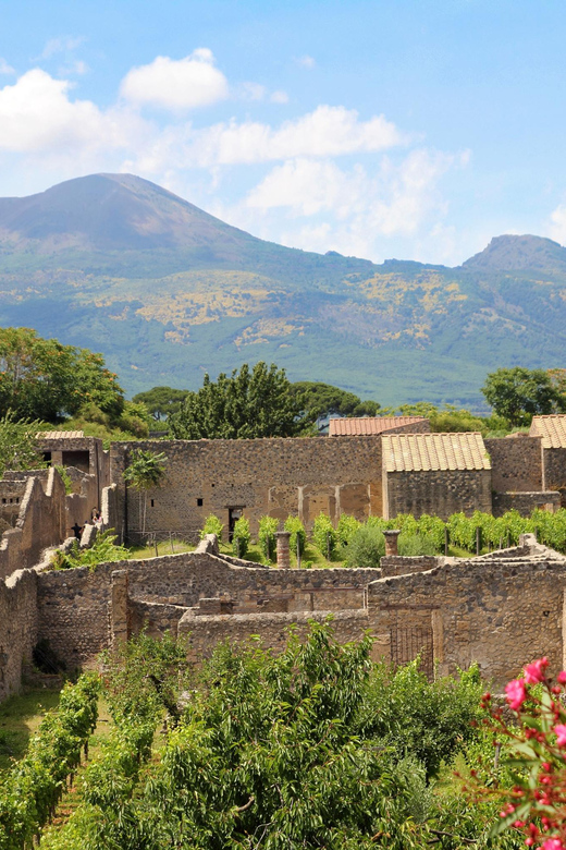 From Naples Port:Pompeii+Vesuvius Tour - Practical Information for Participants