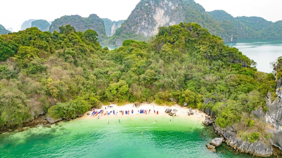 From Ninh Binh : Bai Tu Long Bay Swan Cruise 2-3 Days Trip - Activities and Experiences