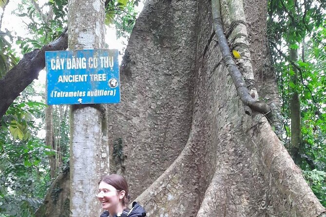 From Ninh Binh Cuc Phuong National Park One Day Trekking Tour - Customer Experiences