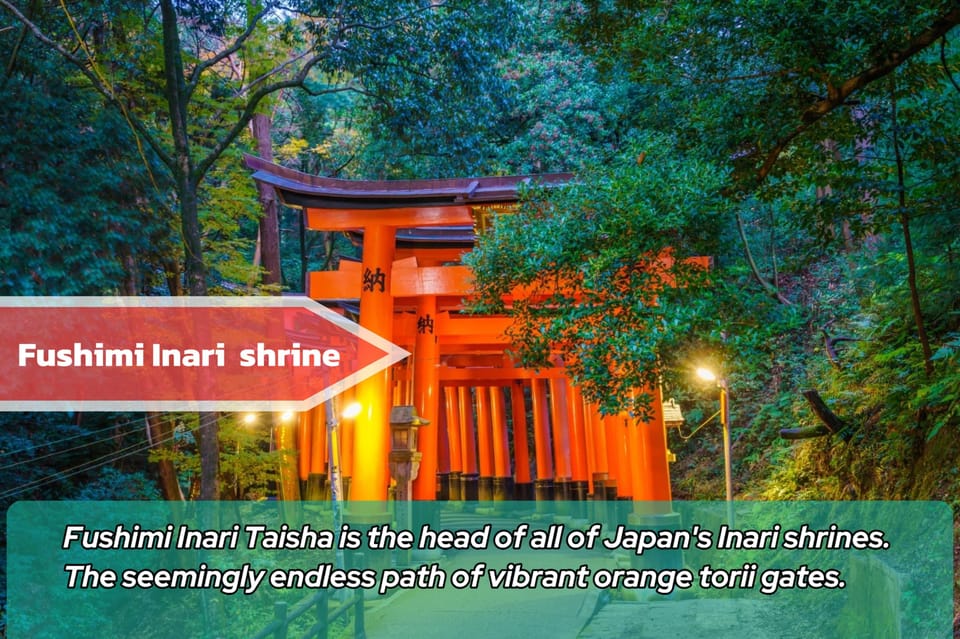 From Osaka/Kyoto: Kyoto & Nara Private Sightseeing Day Trip - Nara Park Experience