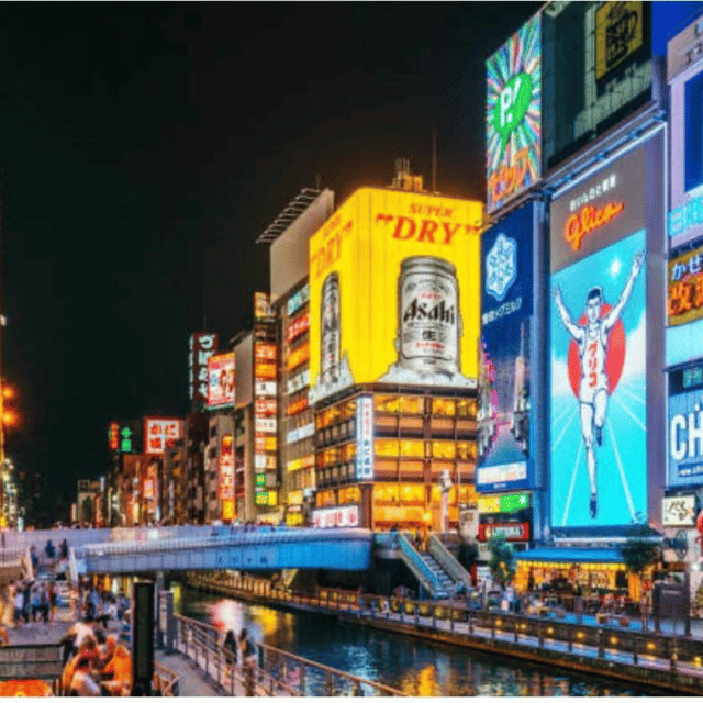 From Osaka: Private Customisable Osaka Full Day Tour By Car - Important Information to Know