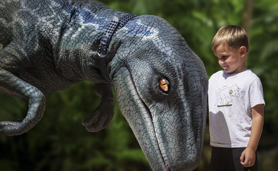 From Palma De Mallorca: Dinosaurland Tour - Important Information