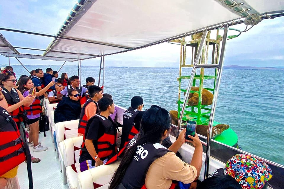 From Paracas: Ballestas Islands Guided Boat Tour - Important Recommendations