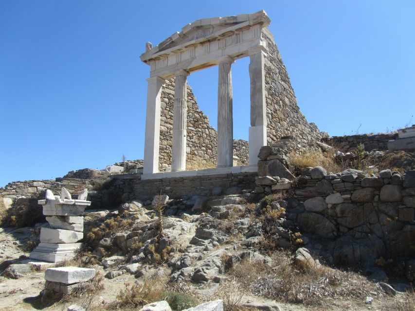 From Paros: Delos and Mykonos Full-Day Boat Trip - Customer Reviews and Ratings