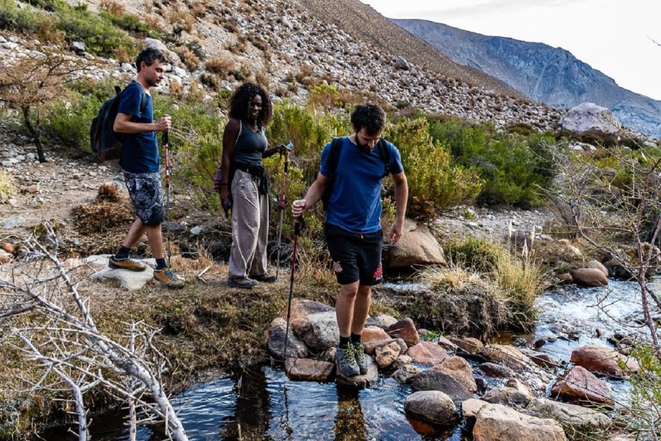 From Pisco Elqui: Cochiguaz River Valley Nature Hike - Preparation for the Hike