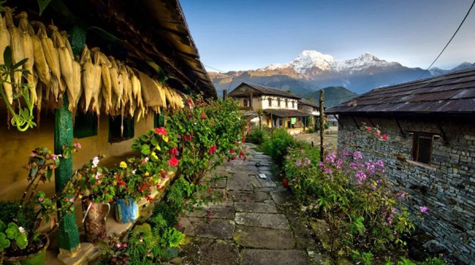 From Pokhara: 1 Night 2 Day Ghandruk Tour by 4w Jeep - Booking and Cancellation Policies