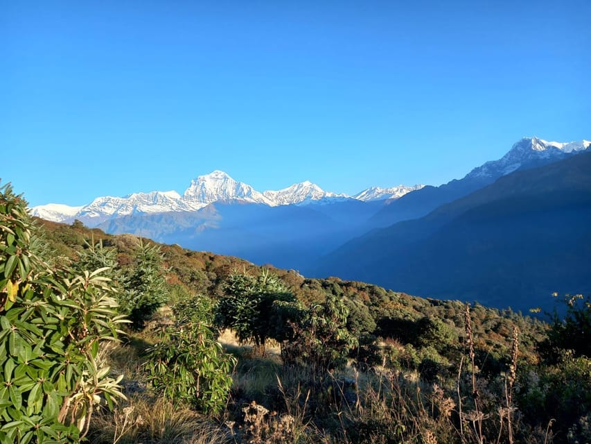 From Pokhara: 2-Days Poonhill Trek With Sunrise View - Scenic Views and Experiences