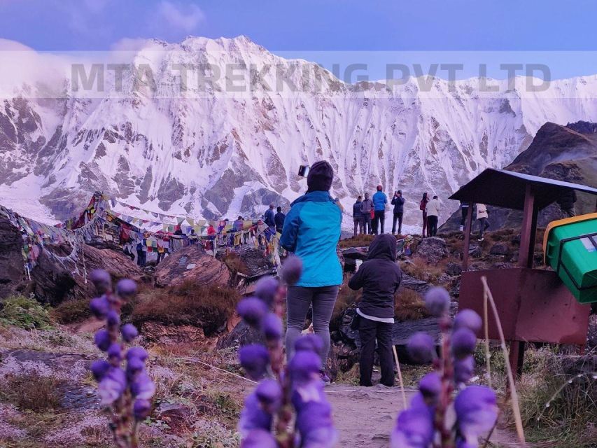 From Pokhara: Annapurna Basecamp 7 Days Guided Trek - Customer Feedback