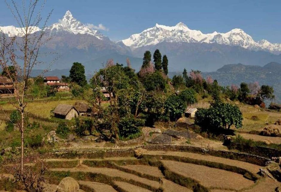 From Pokhara: Annapurna View Day Hike - Transportation Details