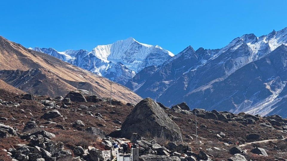 From Pokhara: Budget 7 Day Langtang Valley Trek - Inclusions and Services