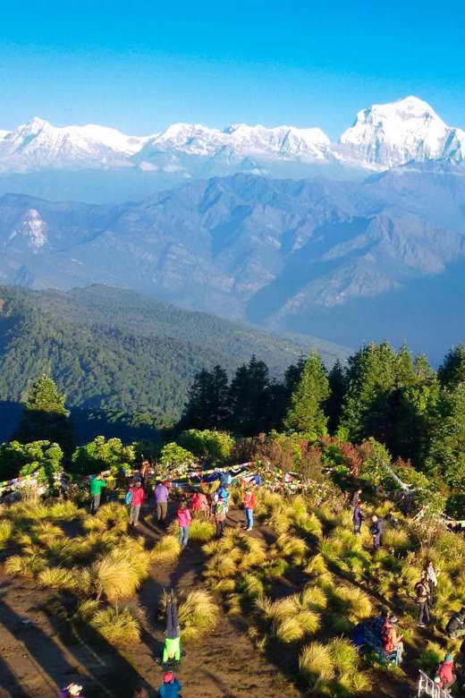 From Pokhara: Ghorepani Poon Hill Trek With Transfers - Inclusions for the Trek