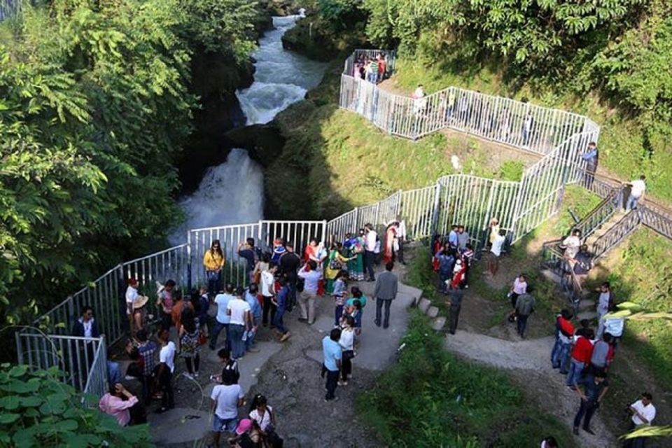 From Pokhara: Guided Day Jungle Hiking Tour With Boat Ride - Customer Reviews and Ratings