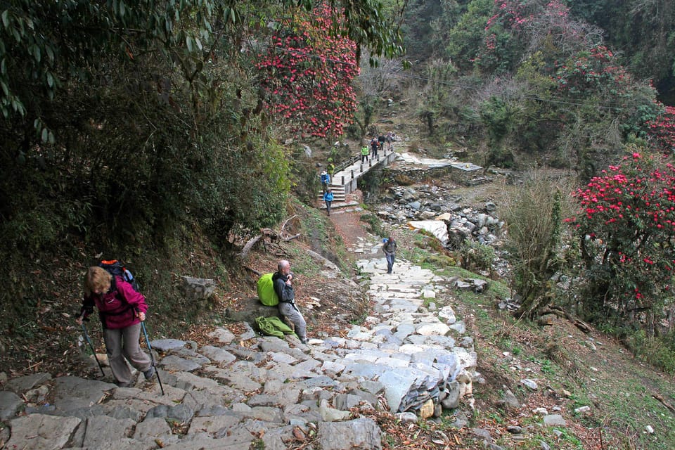 From Pokhara: Short 1 Night 2 Day Ghorepani Poon Hill Trek - Exclusions to Consider