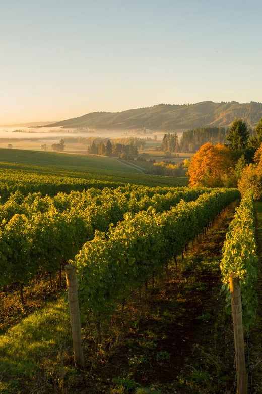 From Portland: Willamette Valley Wine Tasting Tour - Scenic Drive Through Oregon