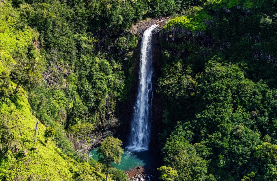 From Princeville: Na Pali Coast & Waterfalls Helicopter Tour - Customer Reviews