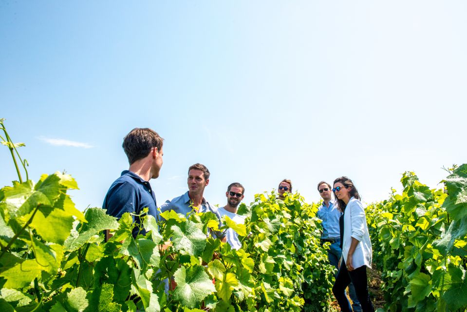 From Reims: Morning Champagne Tour and Tastings - Frequently Asked Questions