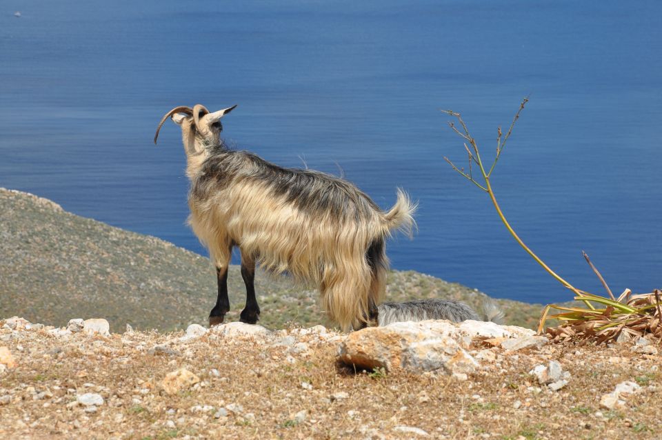 From Rethymno: Agios Nikolaos and Spinaloga Tour - Discovering Spinalonga