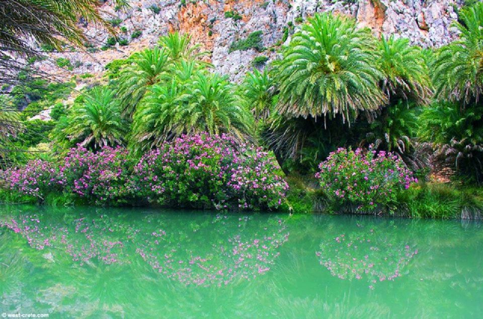 From Rethymno: Day Trip to Preveli Palm Beach-Kourtaliotiko - Transportation Details