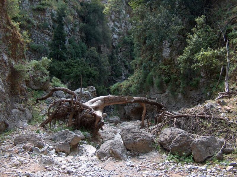 From Rethymno: Imbros Gorge & Libyan Guided Sea Tour - Customer Ratings