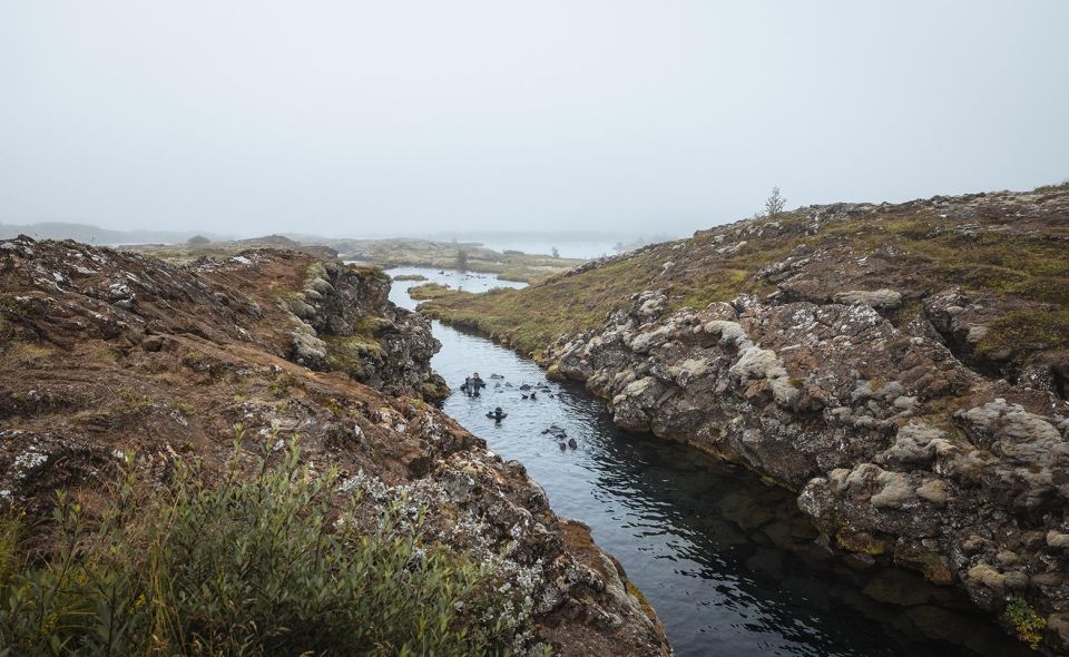 From Reykjavik: Golden Circle Private Tour & Photographs - Meal Experience at Friðheimar