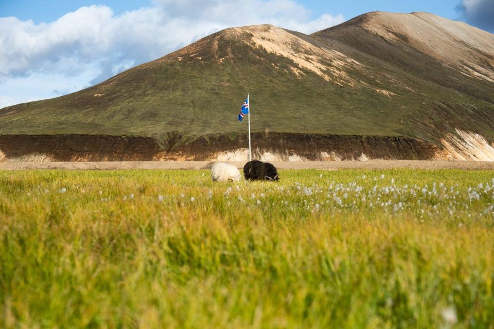 From Reykjavik: Landmannalaugar Day Hike - What to Bring