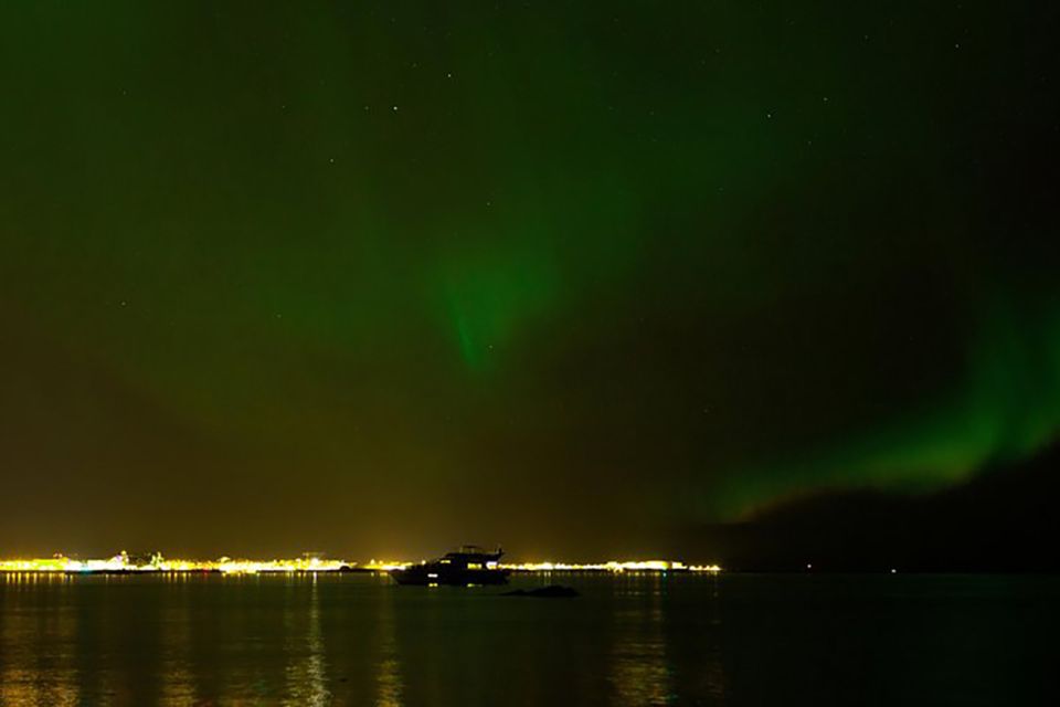 From Reykjavik: New Years Fireworks by Boat - Customer Ratings