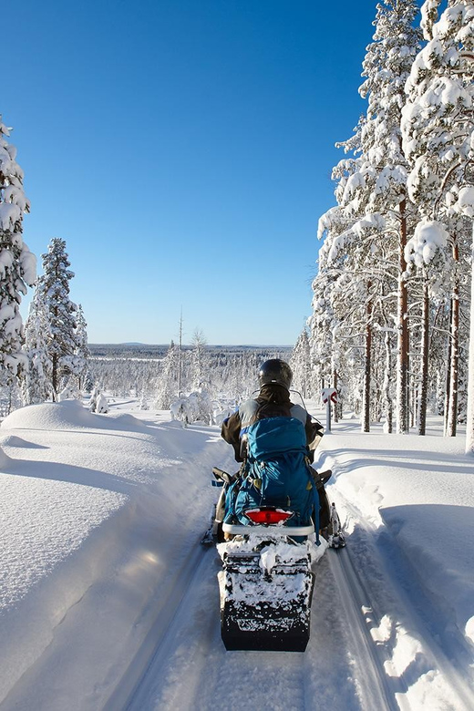 From Rovaniemi: 2-Hour Lapland Wilderness Snowmobile Safari - Pricing Information