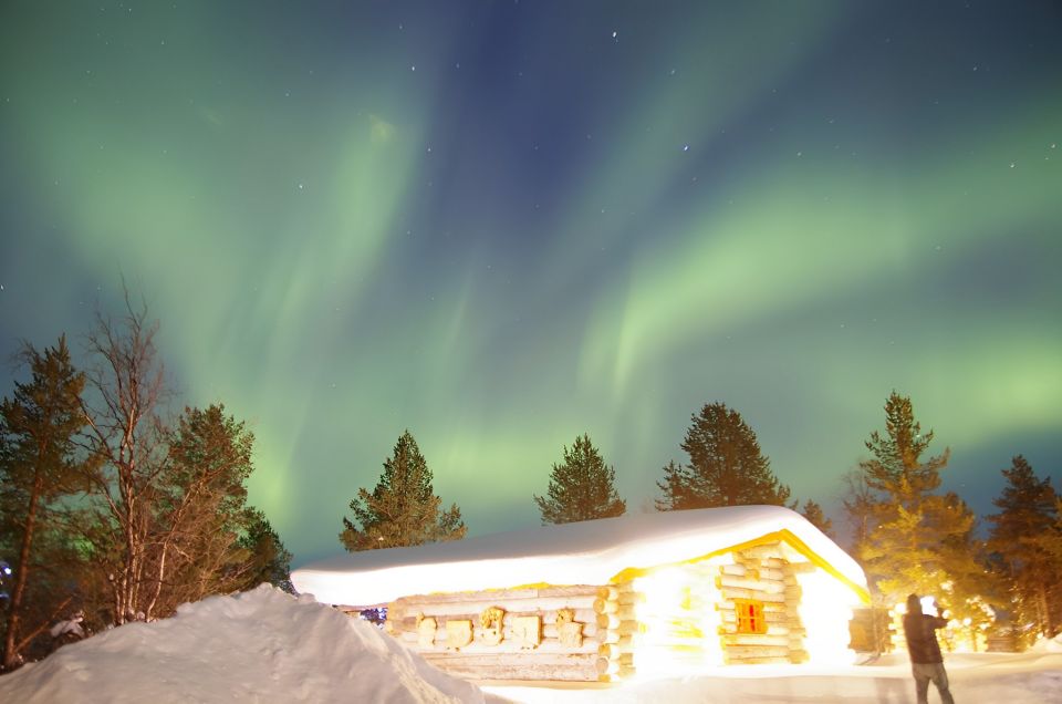 From Rovaniemi: Aurora Dreamscape Tour in the Wild - Customer Feedback