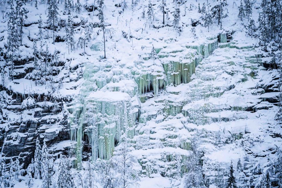 From Rovaniemi: Frozen Waterfalls of Korouoma Full-Day Tour - Customer Feedback and Ratings