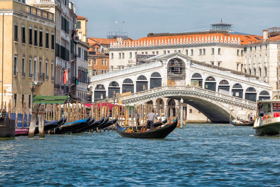 From Rovinj: Venice Boat Trip With Day or One-Way Option - Luggage and Pets