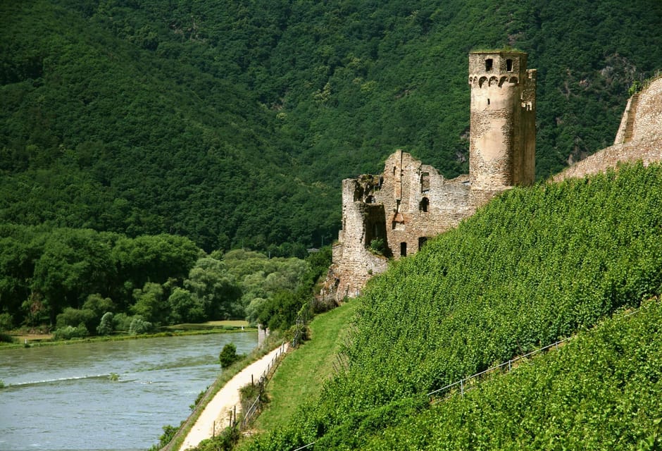 From Rüdesheim: 1.5-Hour Boat Cruise With Wine Tasting - Customer Feedback