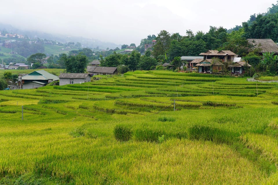 From Sa Pa: Half Day Muong Hoa Valley Trek and Ethnic Tribes - Important Information