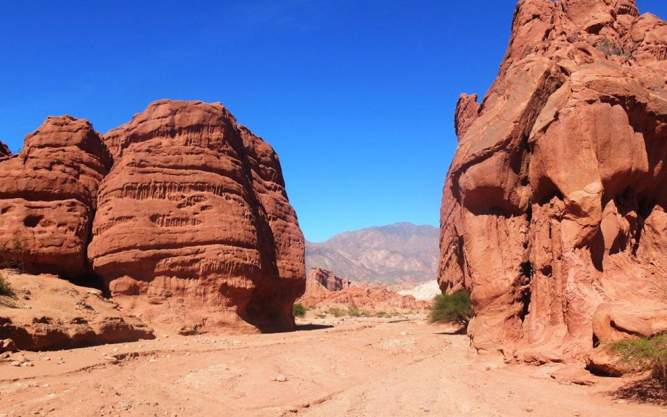 From Salta: Cafayate, Land of Wines and Imposing Ravines - Transportation and Logistics