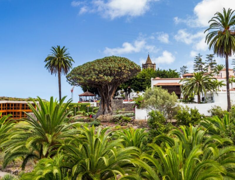 From Santa Cruz De Tenerife: Masca & Garachico Private Trip - Garachicos Architecture