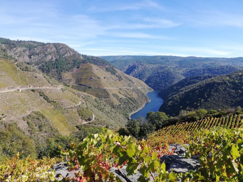 From Santiago: Excursion to Ribeira Sacra and Ourense - Explore Ourense