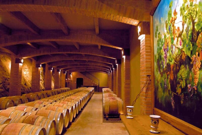 From Santiago: Private Wine Tour in the Colchagua Valley - Tips for Your Visit