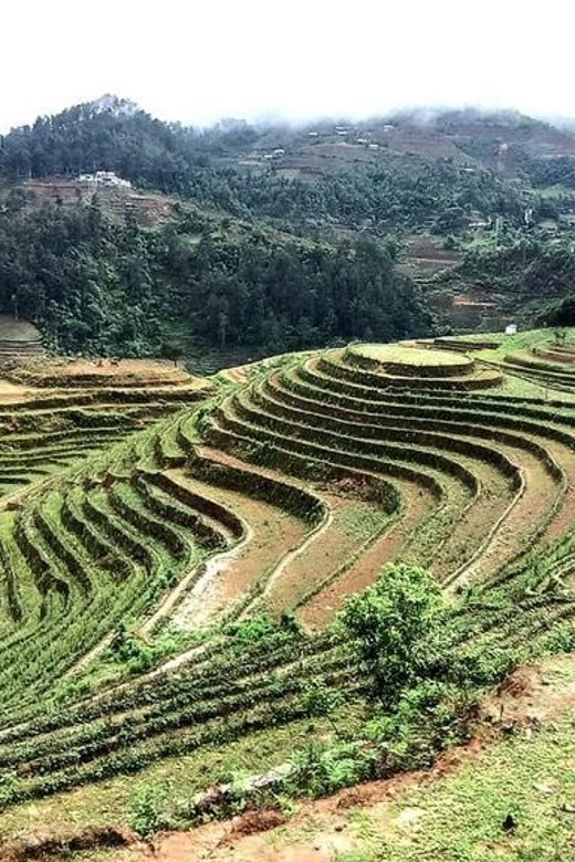 From Sapa: Suoi Ho, Lu Khau and Xa Xeng Villages 1 Day Trek - Customer Reviews and Ratings