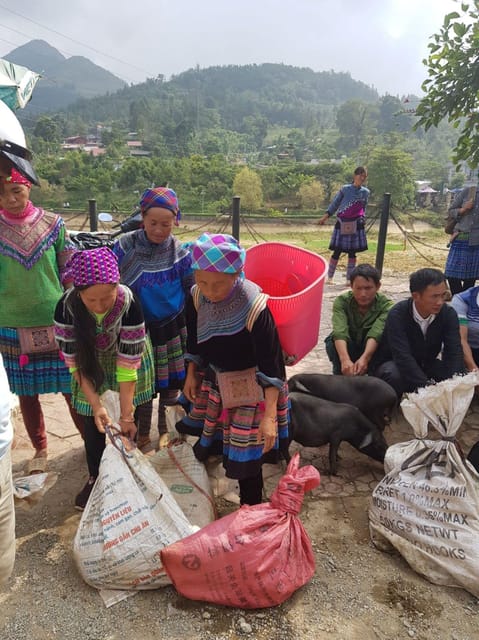 From Sapa: Visit Bac Ha Market - 1D Trip - Without Lunch - Inclusions and Exclusions