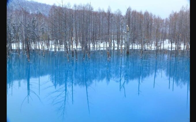 From Sapporo: Private Customized Day Tour to Biei+Furano - Tailored Experience Options