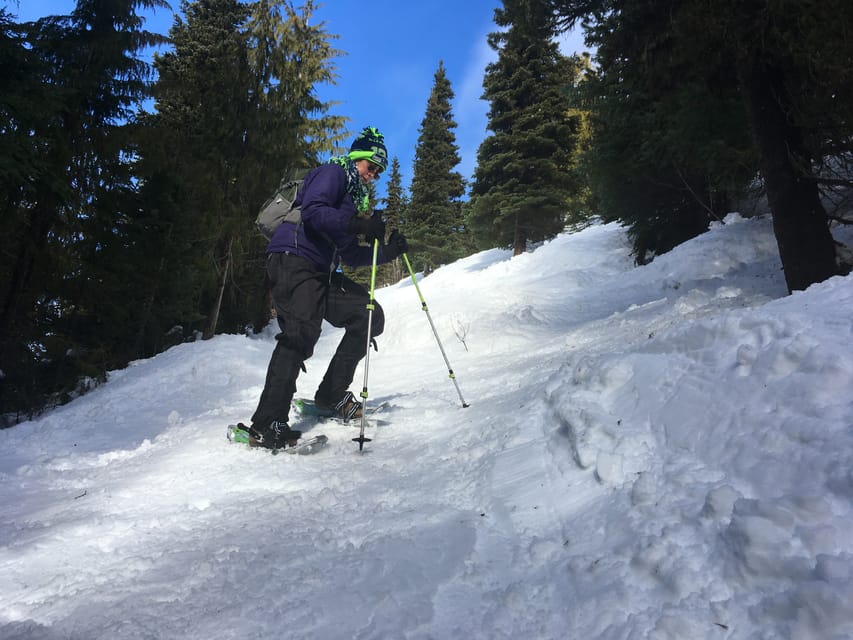 From Seattle: Winter Snowshoeing in the Cascade Mountains - Getting There From Seattle