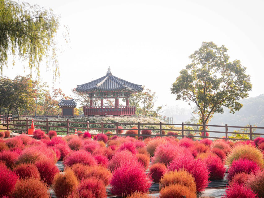 From Seoul: Autumn Instagrammable Tour - Route A: Goseokjeong to Bidulginang