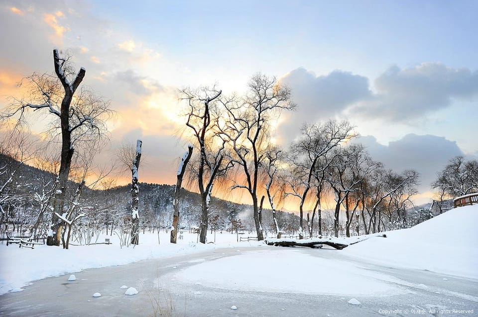 From Seoul: Eobi Ice Valley, Nami Island, Korean Garden - Inclusions