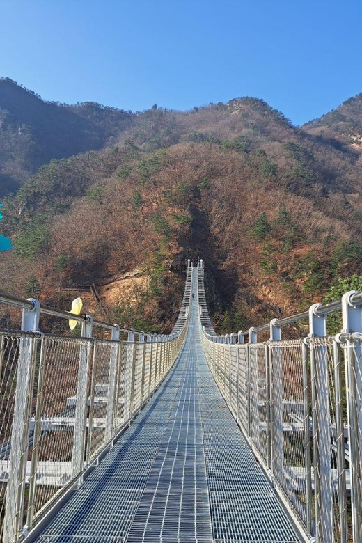 From Seoul: Mt. Unak-Suspension Bridge/Nami(+Rail Bike) Tour - Inclusions and Exclusions