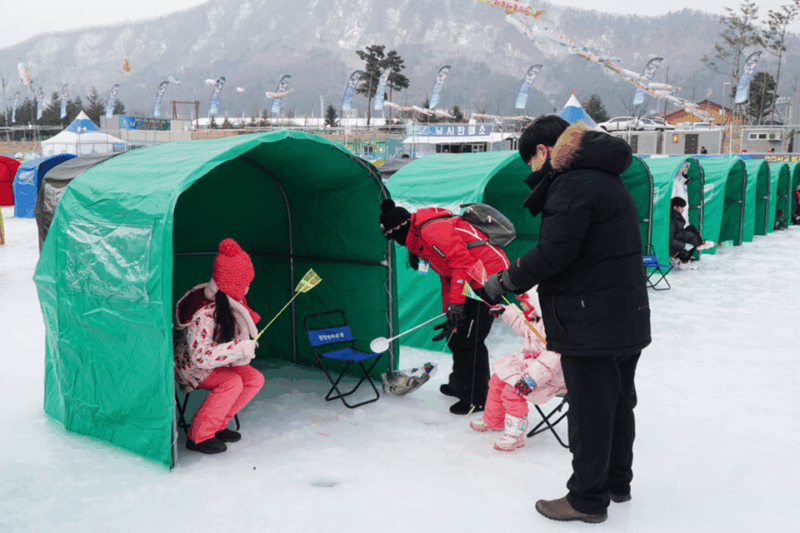 From Seoul: Pyeongchang Trout Festival - Customer Feedback