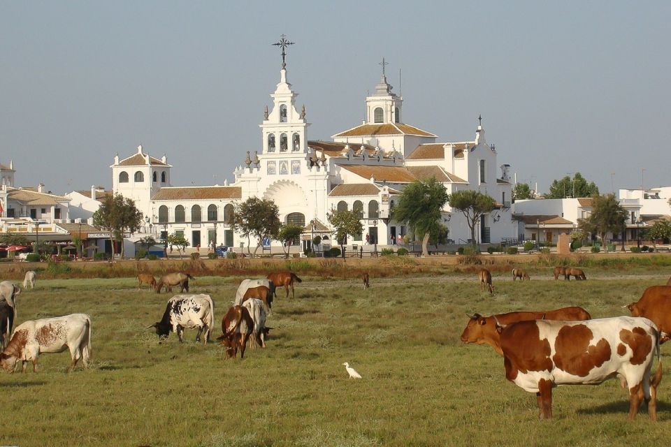 From Seville: Doñana National Park Day Trip - Wildlife Spotting