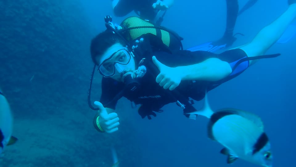 From Side: Guided Scuba Diving in Alanya W/ Lunch & Transfer - Important Information