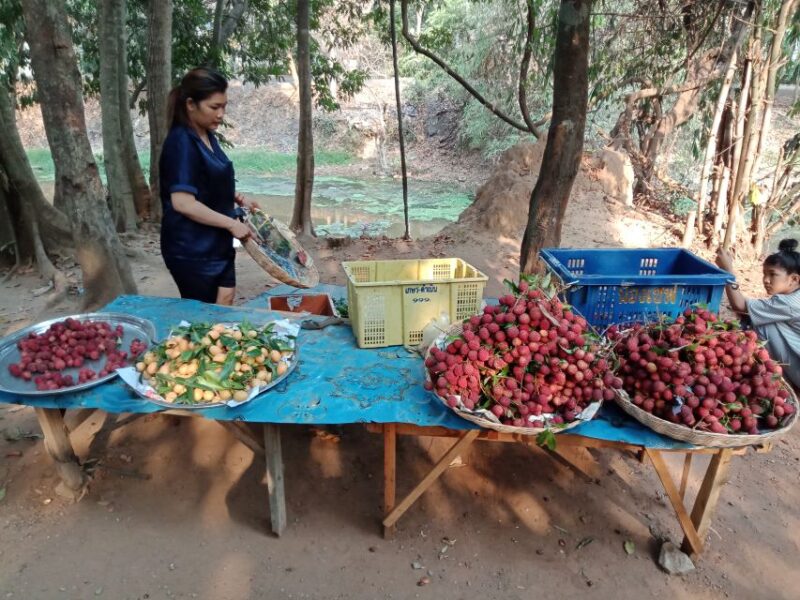 From Siem Reap: Angkor Wat Sunrise & Lost City Private Tour - Temple Exploration