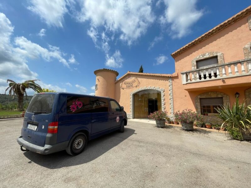 From Sitges: Wine Tasting at 2 Wineries, Snacks and Pickup - Included Tour Amenities