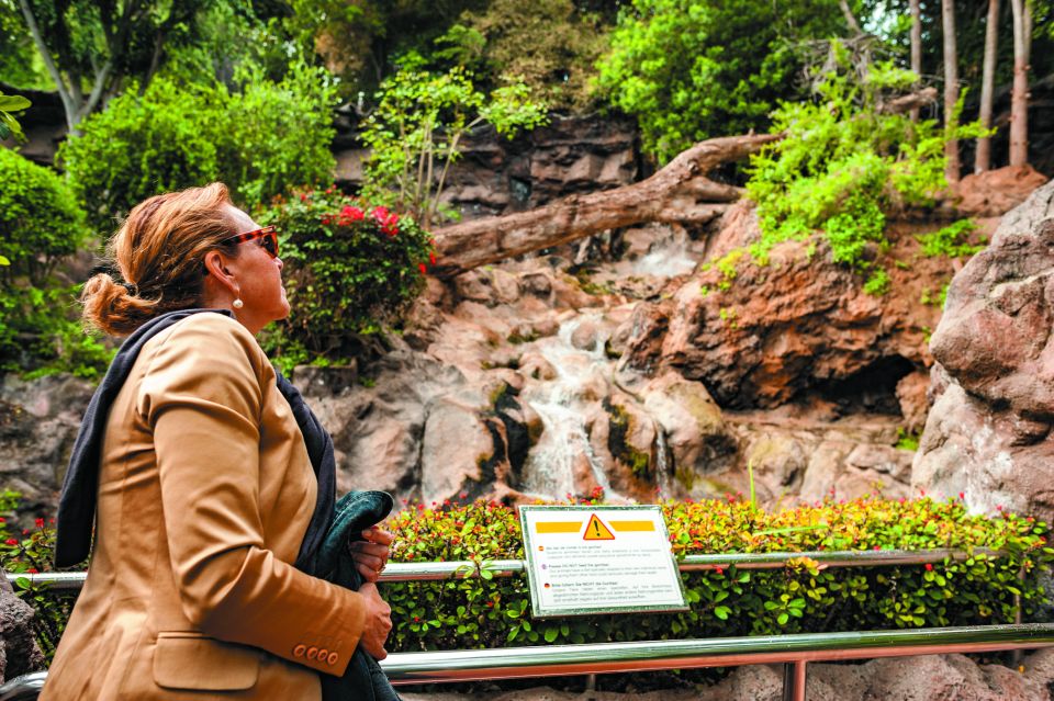 From South Tenerife: Loro Park Zoo Ticket & Hotel Transfers - Visitor Information and Requirements